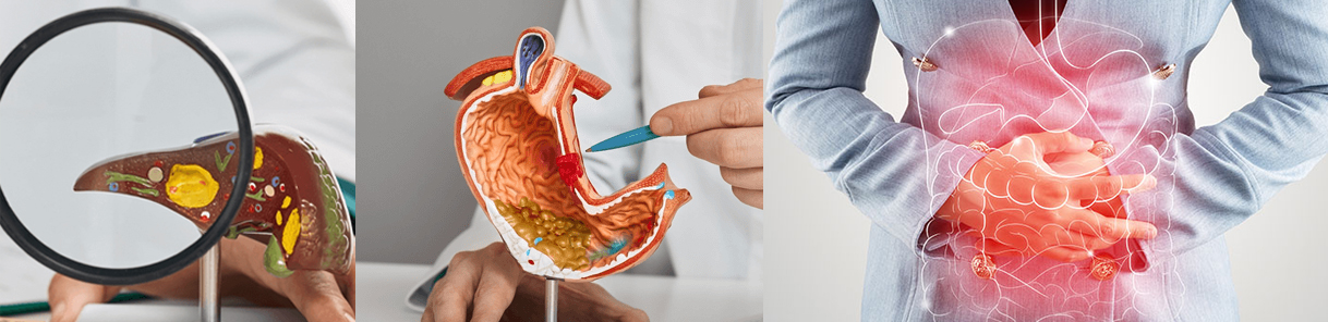 Hepatology & Gastro Enterology Panel
