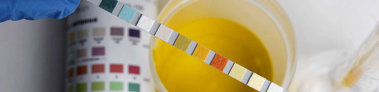 Culture & Sensitivity